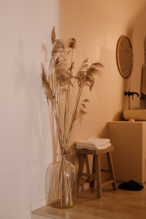 Gratis stockfoto met binnenshuis, bloem, comfort Stockfoto