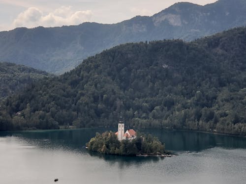 Imagine de stoc gratuită din arbori, clădire, codru