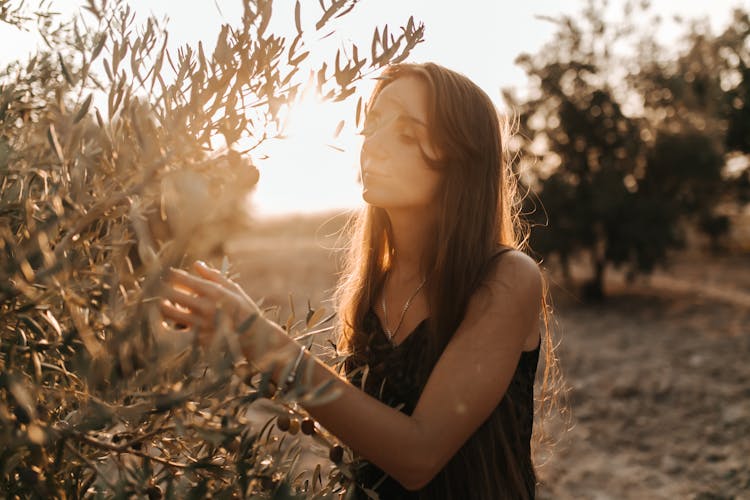 A Woman Posing By An Olive Tree 