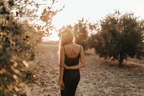 Free A woman in a black dress walks through a grove at sunset, embracing nature's tranquility. Stock Photo