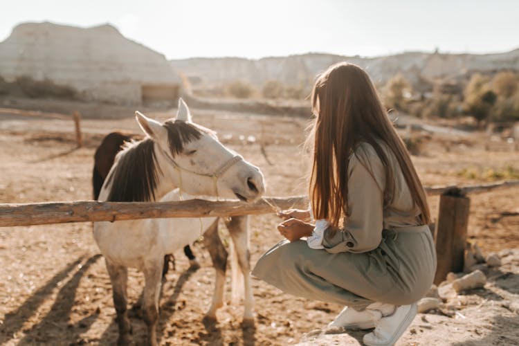 Woman Feeding The Horse