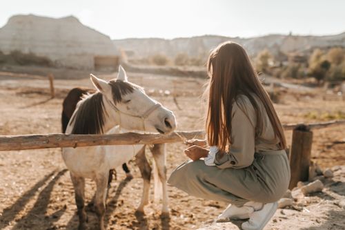 Free A woman feeding horses with unique rock formations in Cappadocia, Turkey in the background. Stock Photo