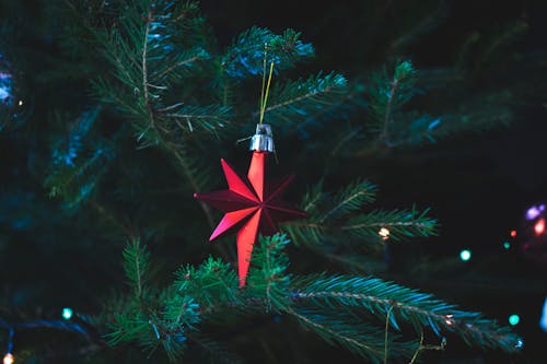 Foto Di Red Christmas Tree Decor