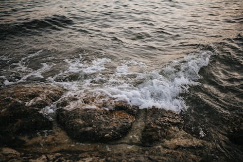 Foto d'estoc gratuïta de aigua, costa rocosa, estavellant