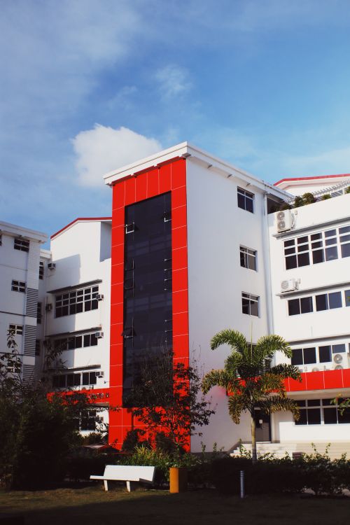 Free Facade of modern multistory university with windows located on street with green trees and bench in Philippines on summer summer day Stock Photo