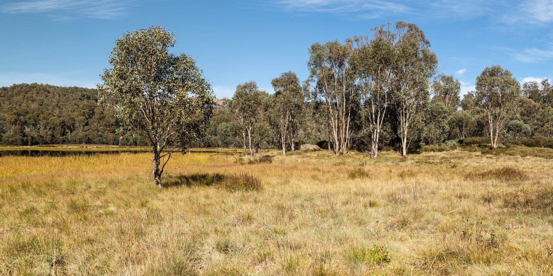 Un paysage de brousse et de collines boisées en Australie en plein jour