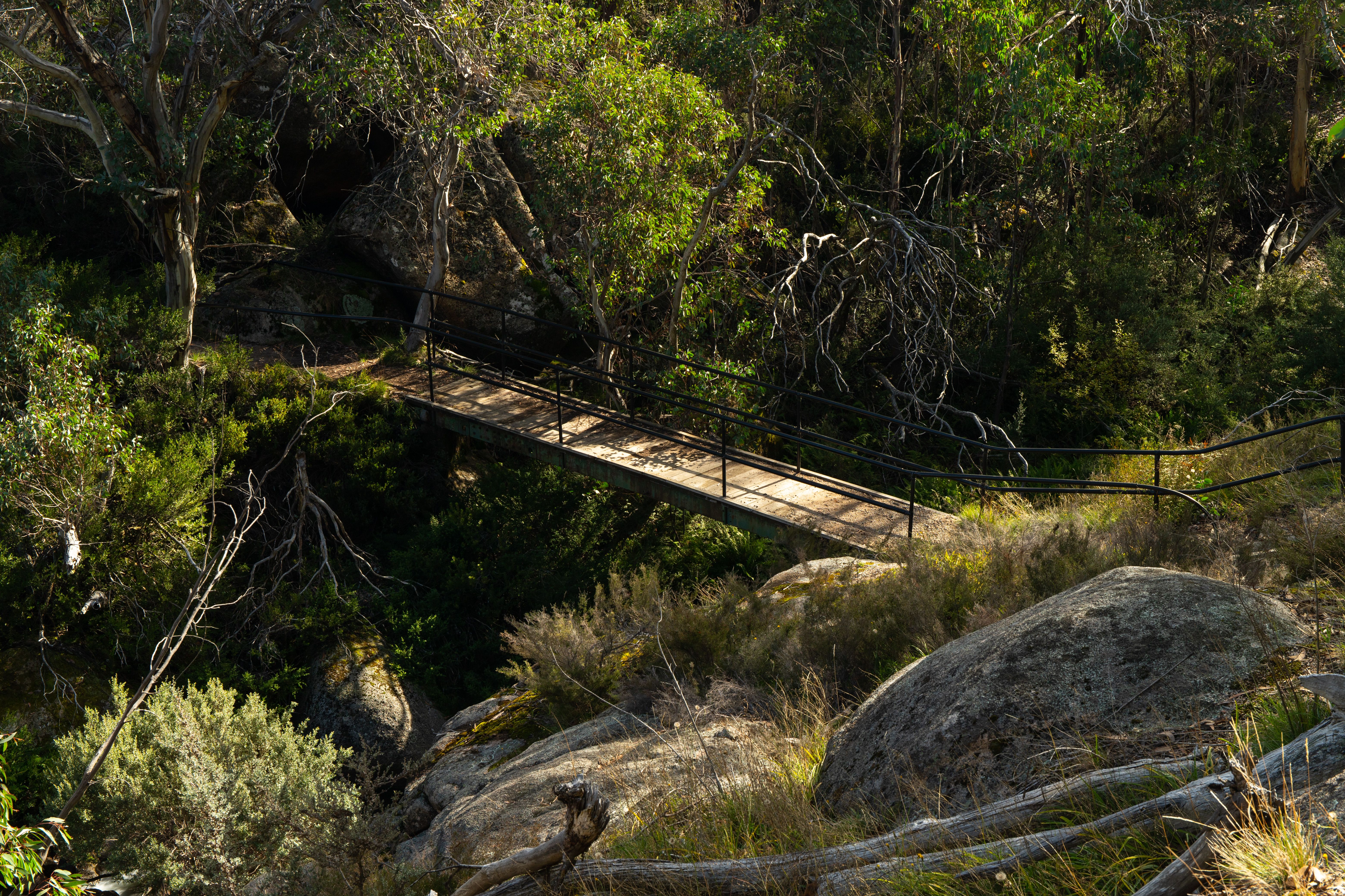 High-angle shot of a wooden bridge amidst lush forest in Mount Buffalo, Australia.