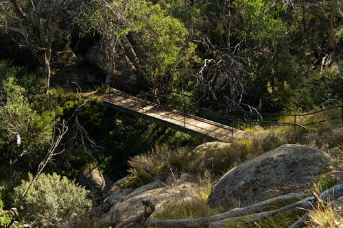 High-Angle Shot of Wooden Bridge in the Forest