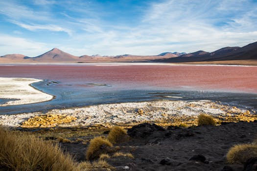 Breathtaking view of Laguna Colorada with vibrant waters and mountainous backdrop in Bolivia.