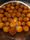 gulab jamun