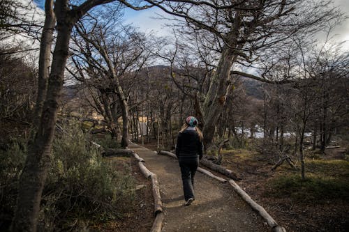 A Woman Walking on the Unpaved Forest Pathway Between Bare Trees