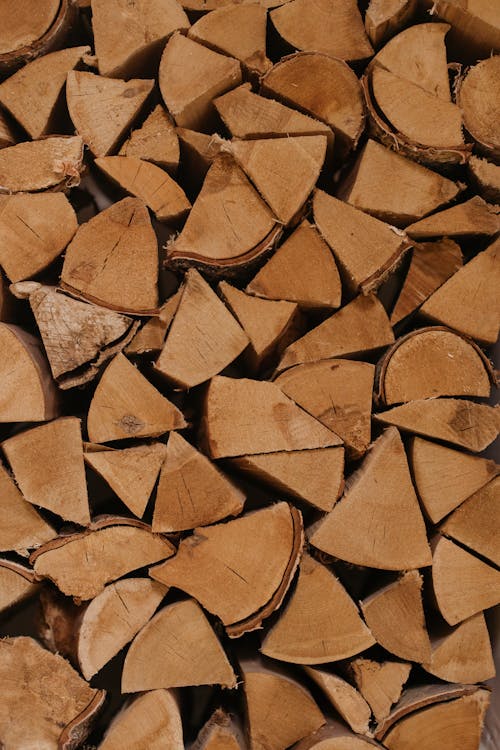 Foto stok gratis batang kayu, di luar rumah, kayu cincang