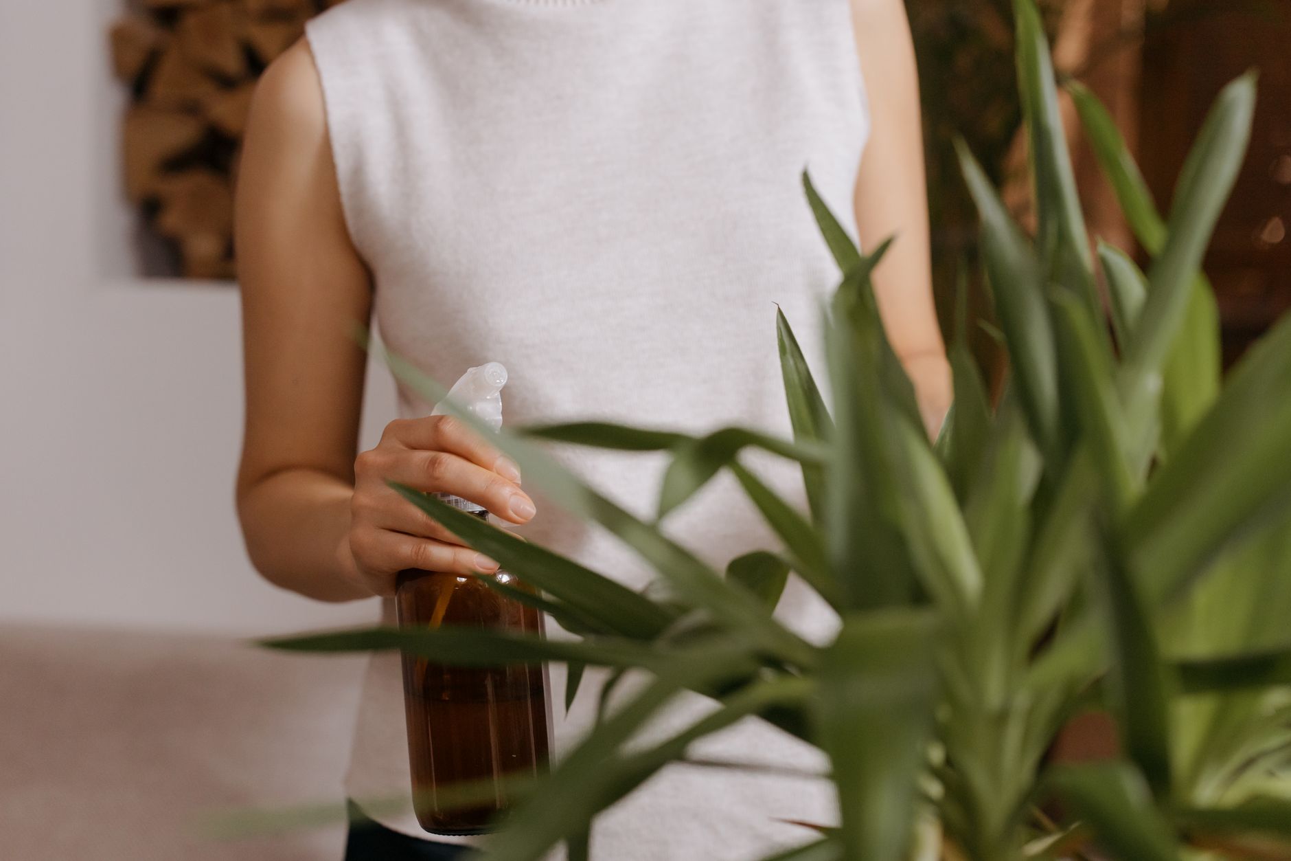 An adult watering indoor plants using a spray bottle, promoting indoor gardening care.