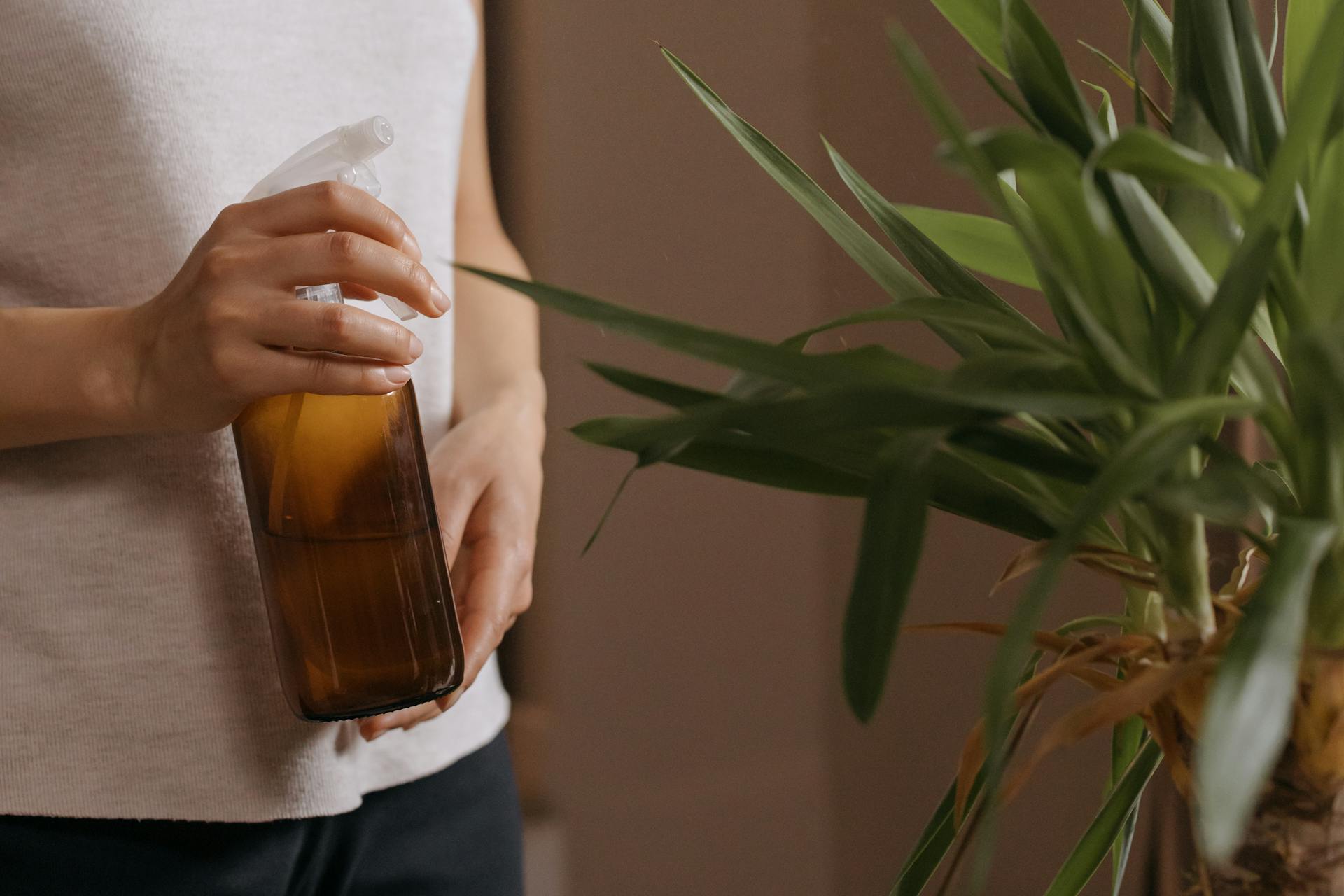 A woman in a casual outfit holds a spray bottle to water a houseplant, captured in a close-up indoors.