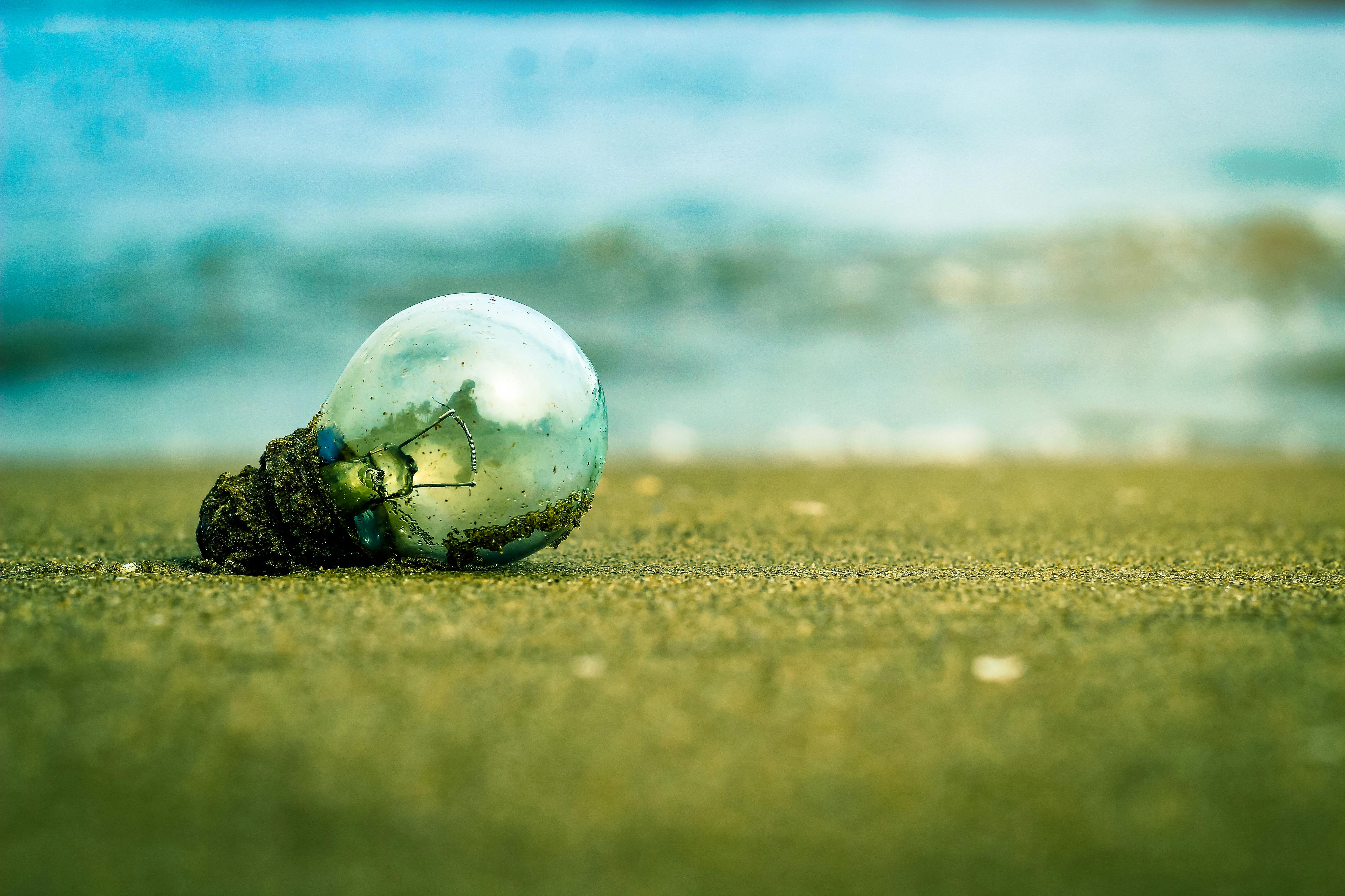 Free stock photo of beach, blue water, bulb