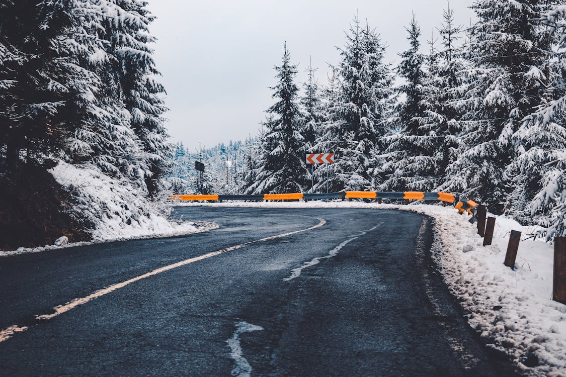 A Road during Winter · Free Stock Photo