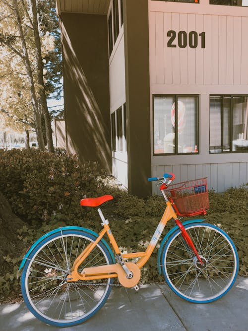 Gratis lagerfoto af busk, bygning, cykel