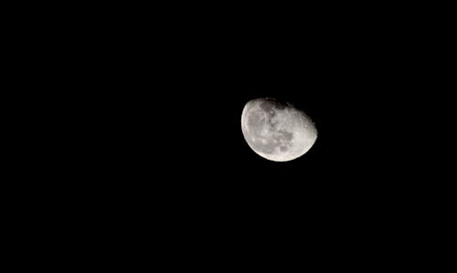 Free stock photo of at night, beauty, half moon Stock Photo
