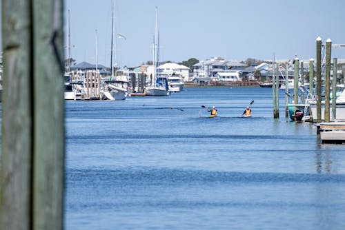 People Kayaking Near the Harbor