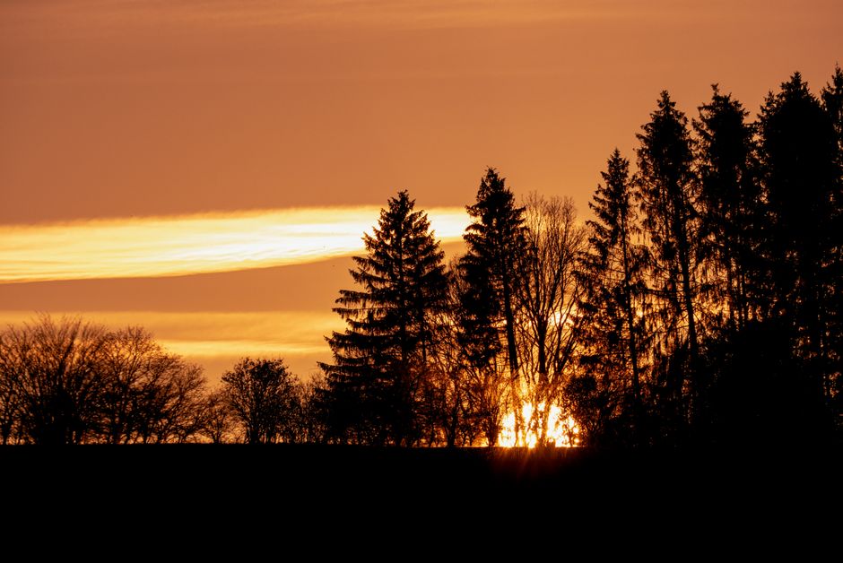 Captivating sunset scene with tree silhouettes and vibrant sky hues.