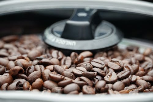 A Close-Up Shot of Coffee Beans in a Bean Hopper