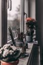 Paintbrushes and Holders on the Window Sill