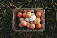 Brown Eggs in Clear Plastic Container
