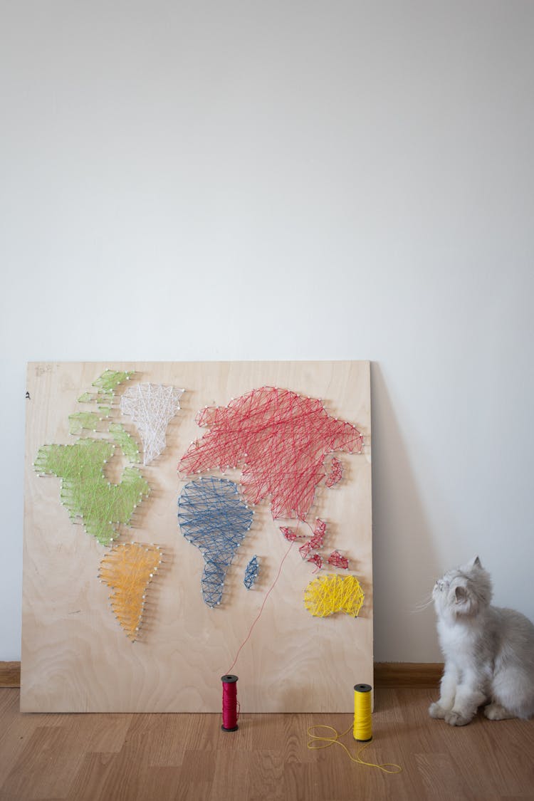 Kitten Sitting On Floor Near String Artwork