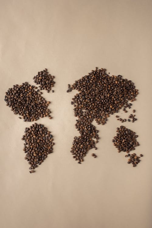無料 カフェイン, コーヒー豆, フラットレイの無料の写真素材 写真素材