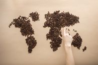 Top view of crop person pointing finger at world map made of coffee beans on brown background