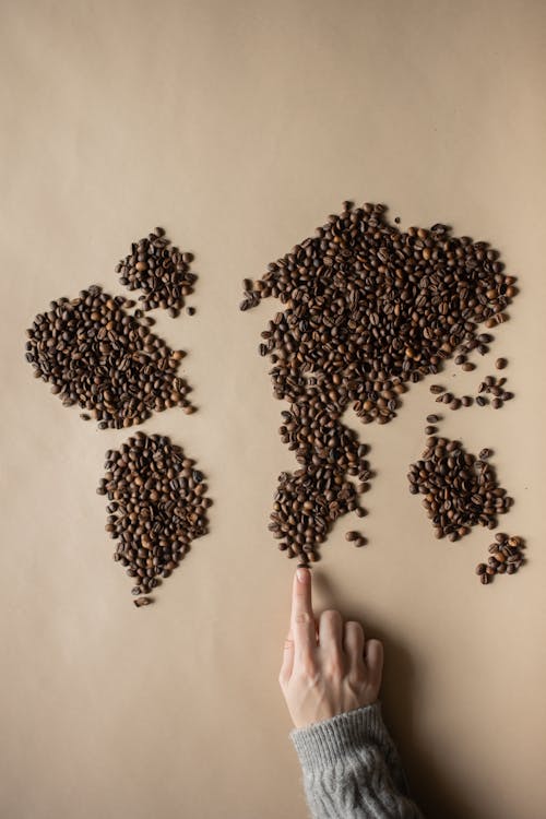 Crop person adjusting coffee beans in form of world map