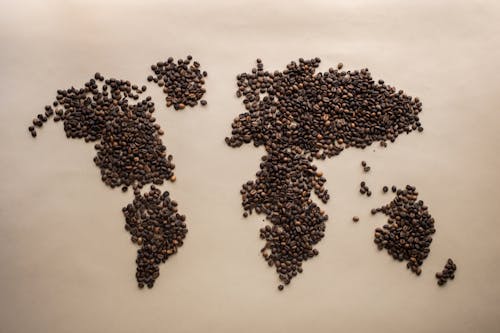 Close-Up Shot of Roasted Coffee Beans 