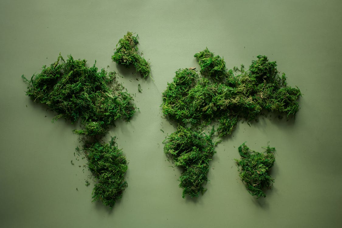 Free World map made of green plants Stock Photo