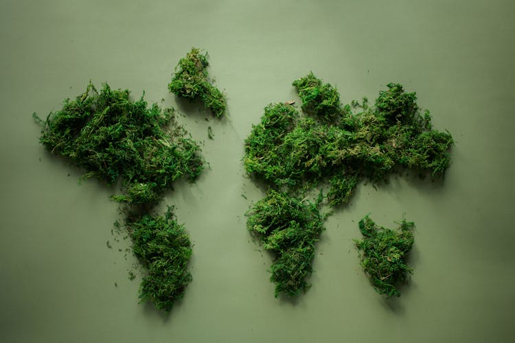 World Map Made Of Green Plants