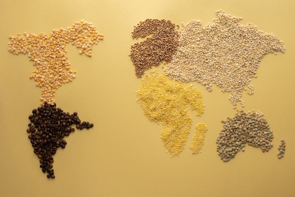 Debate Emerges Over Vegetarian Menu at BRICS Summit