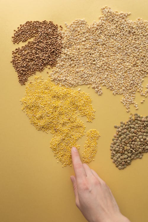 Top view of crop unrecognizable person making world continents with heap of assorted grains on yellow background in light studio