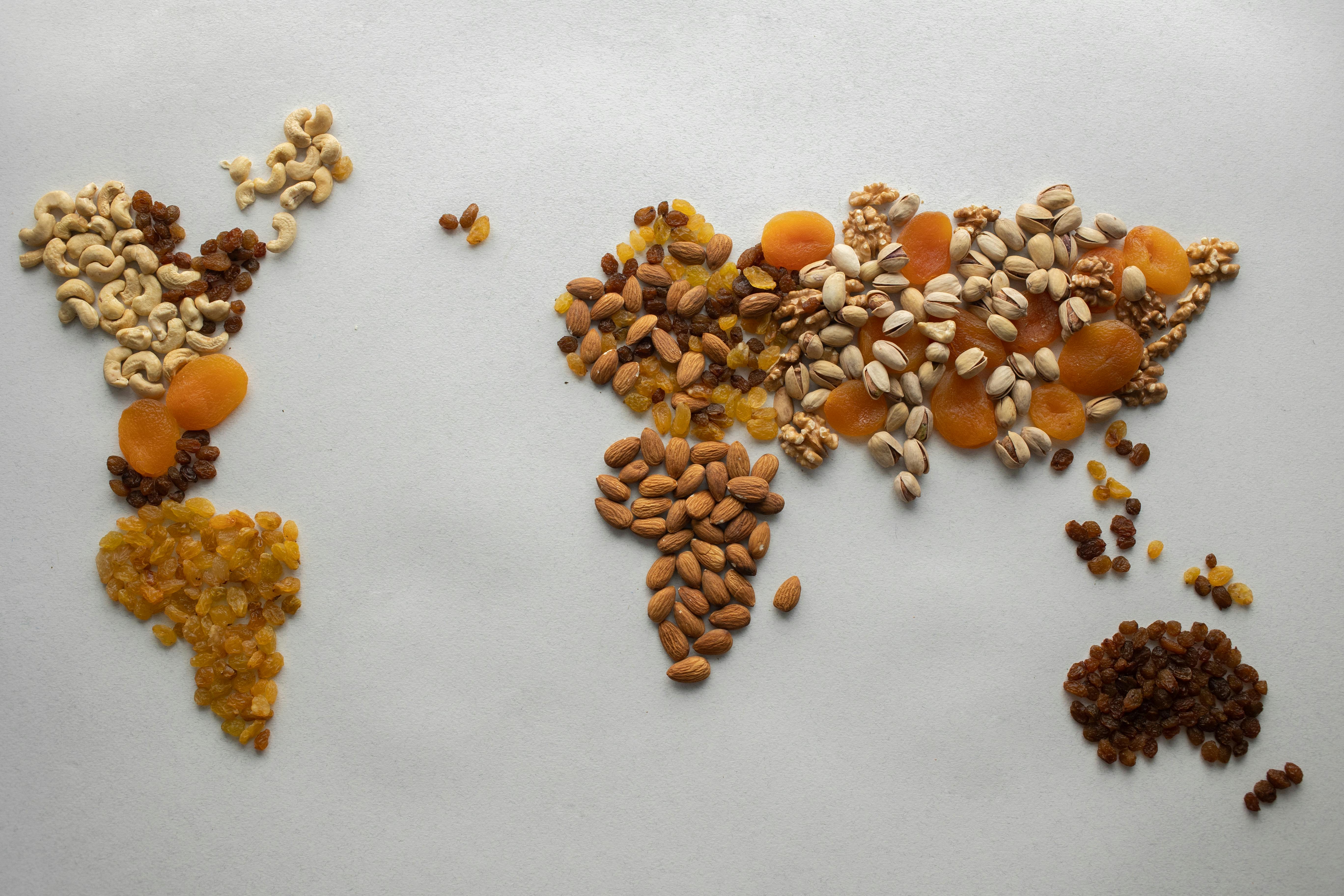 world map made of nuts and dried fruits