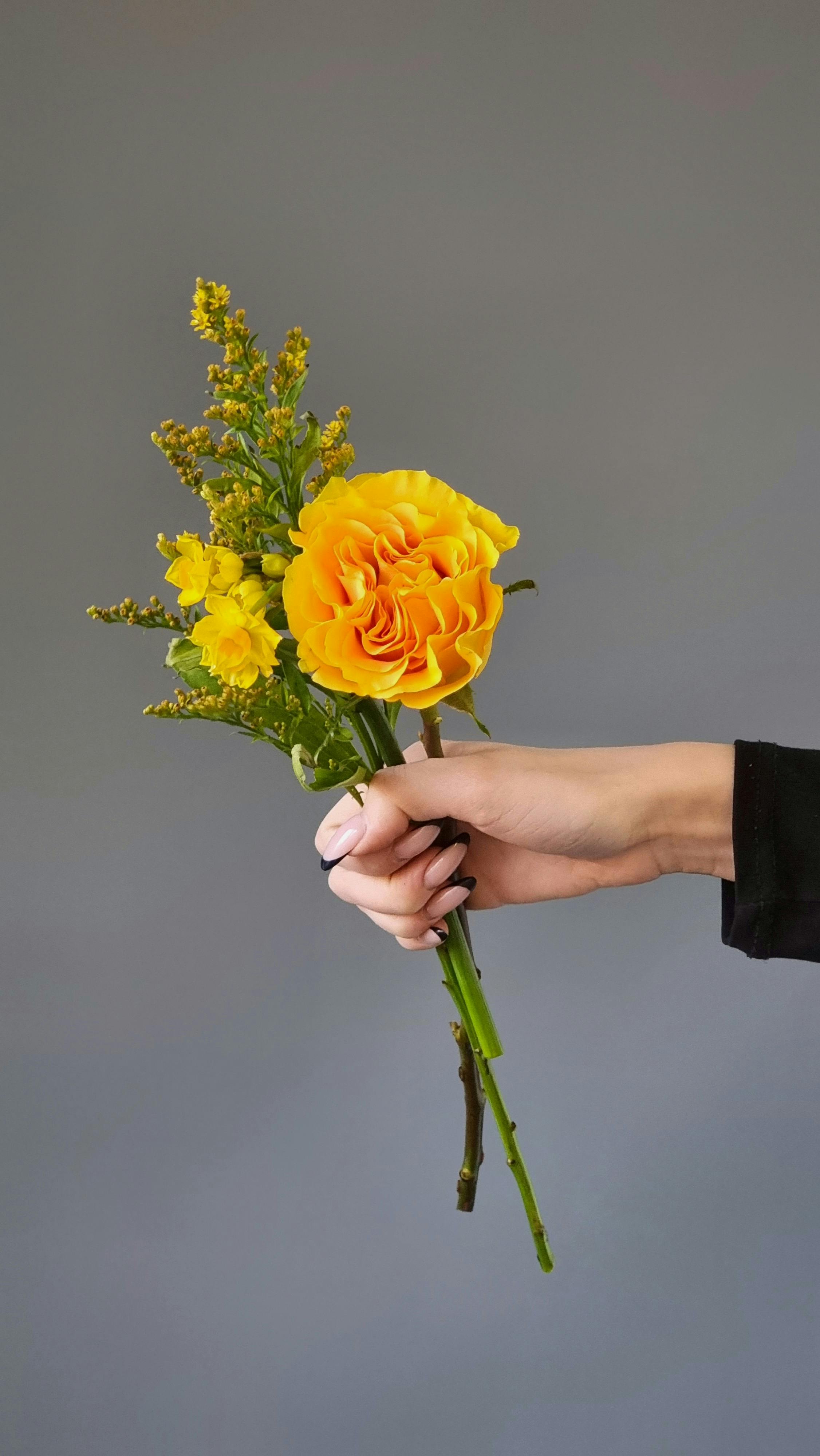 anonymous person with yellow rose