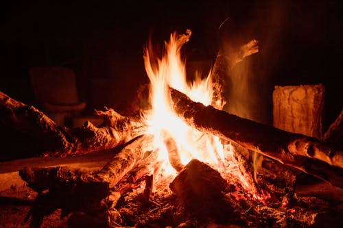 Dry tree twigs with rough bark burning in bright flame against stump at dusk