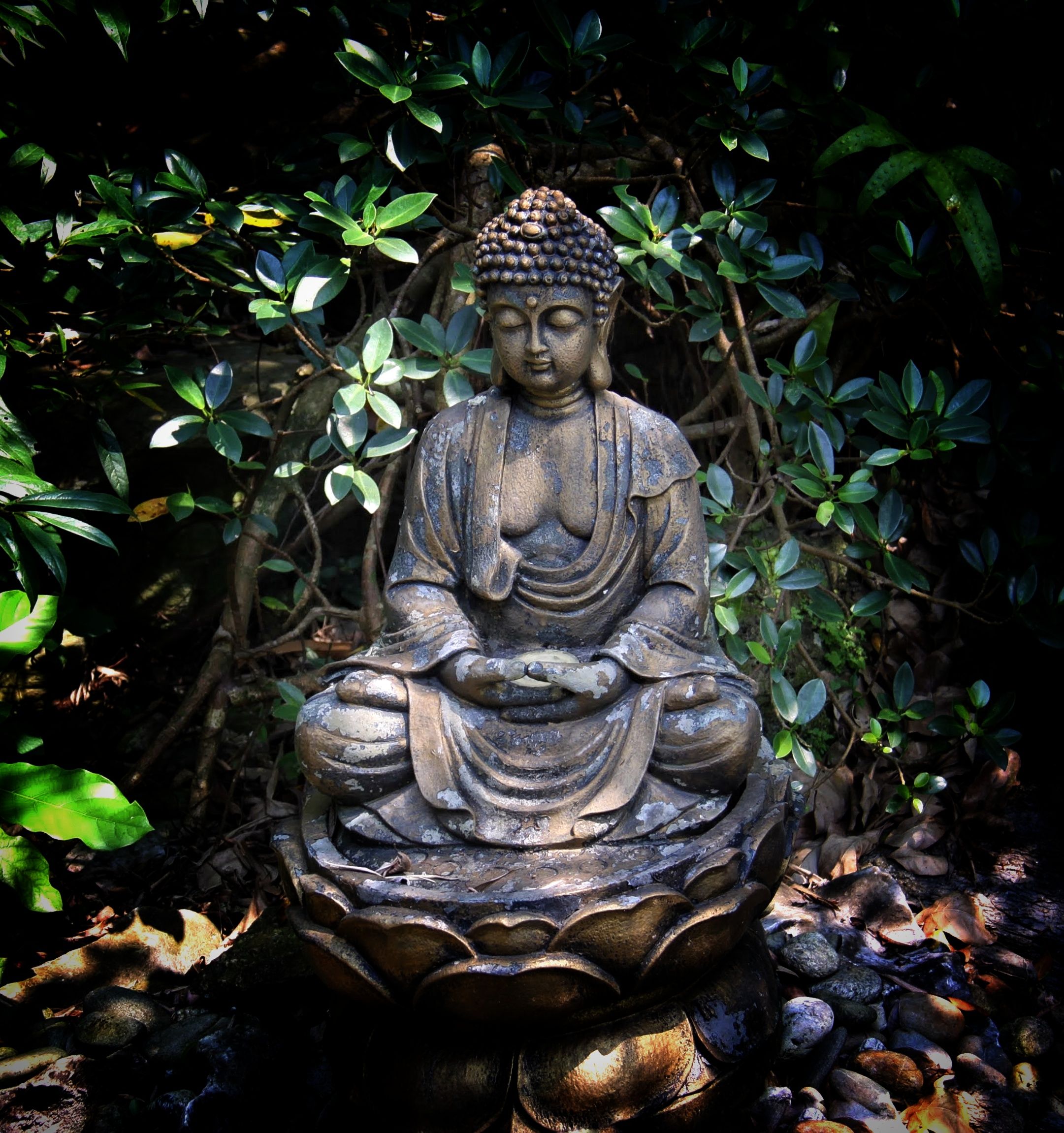What no one tells you about patience practice daily