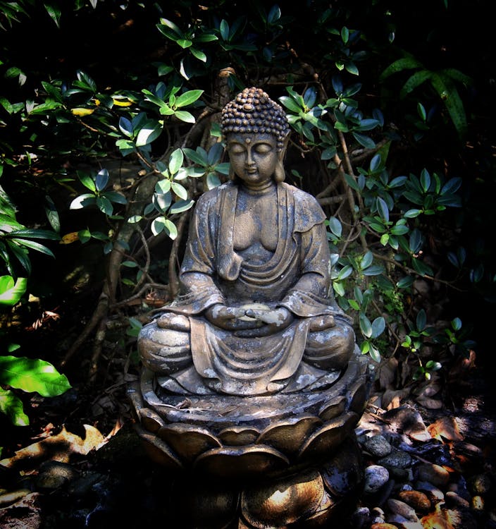A Statue of Buddha in a Garden · Free Stock Photo