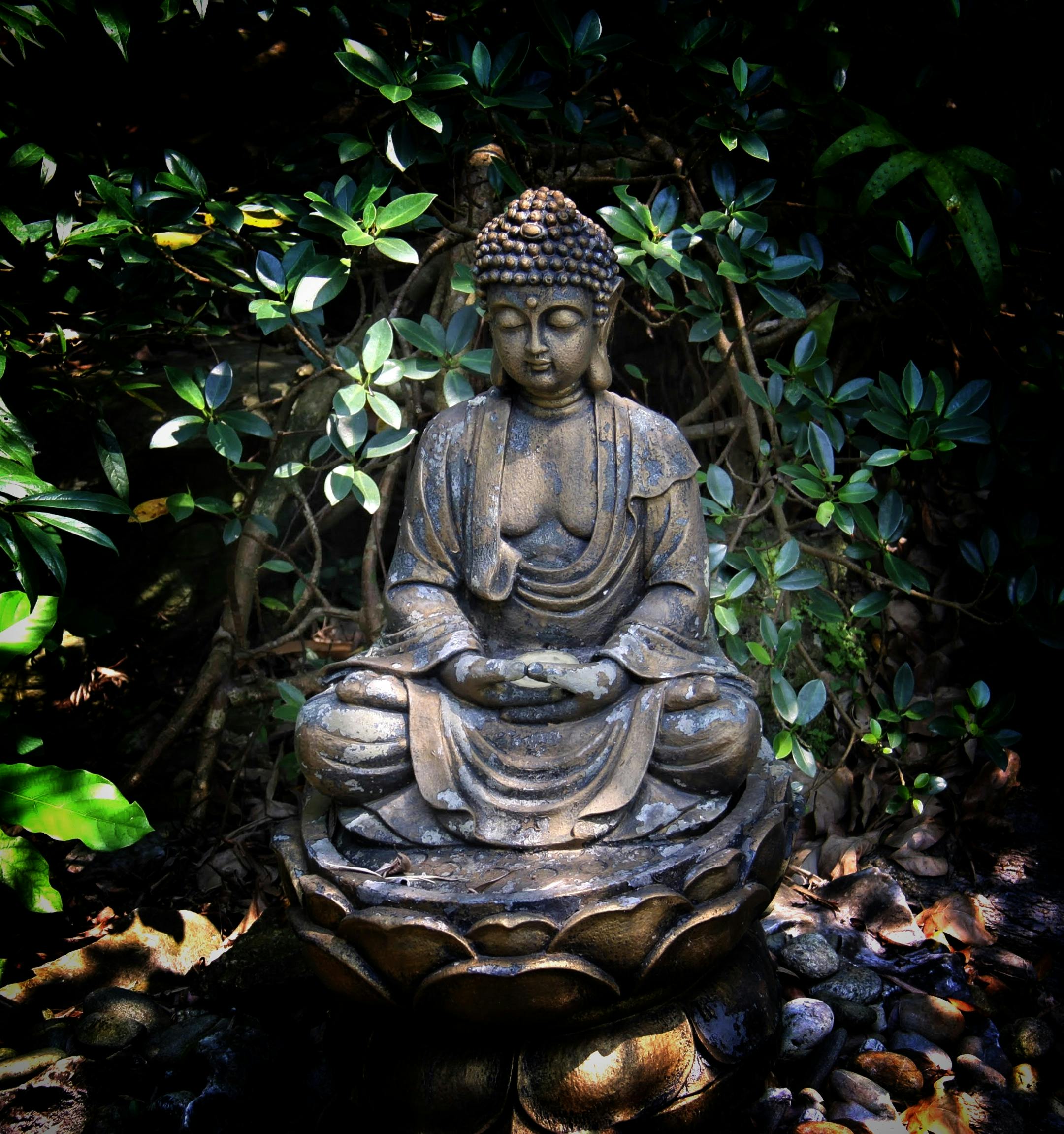 Small Jizo on grassy ground · Free Stock Photo