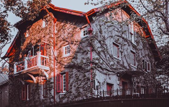 A picturesque ivy-clad house with red accents illuminated by warm autumn sunlight.