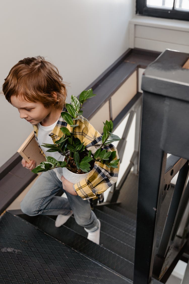 Kid Going Up Stairs