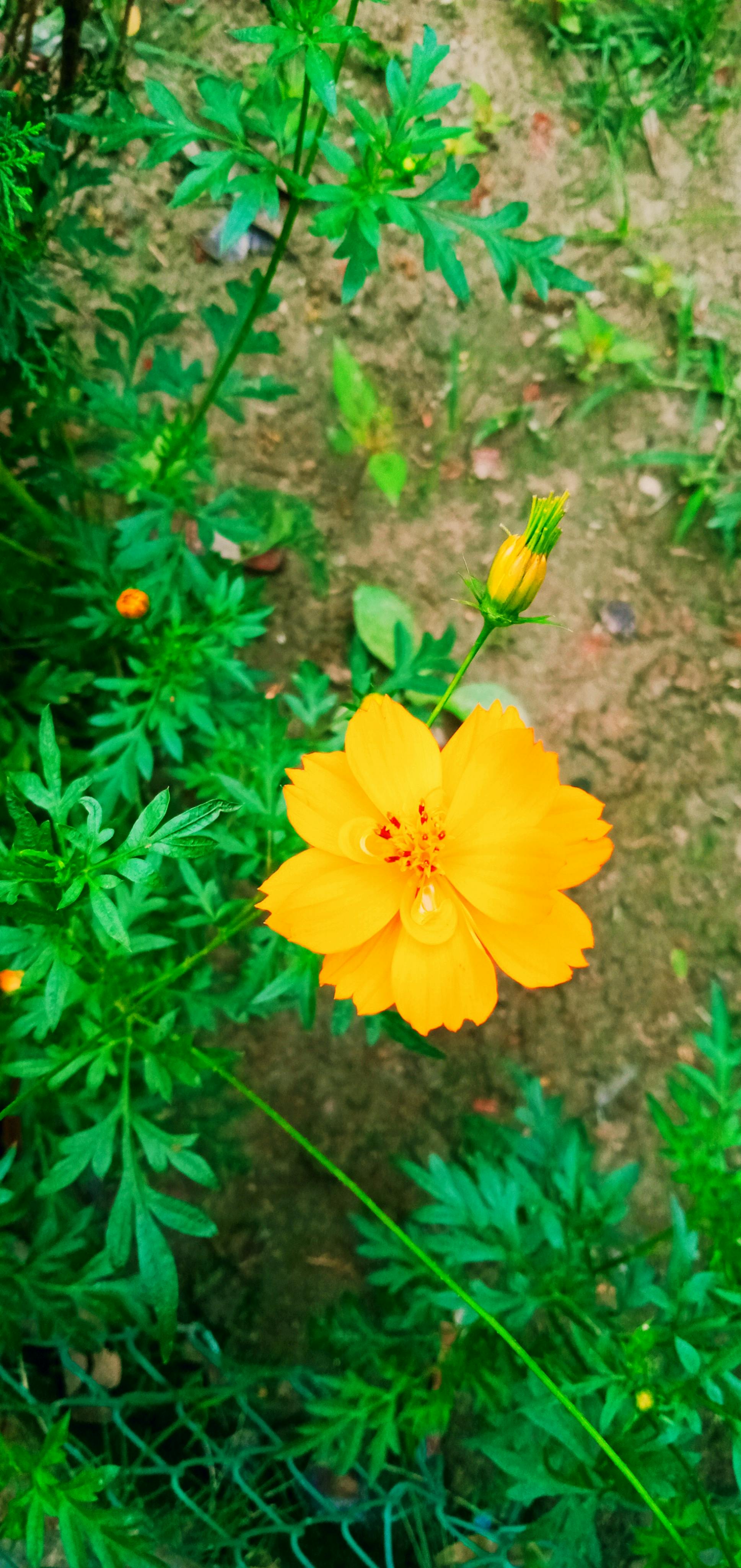 부부 공동명의 부동산 계약서