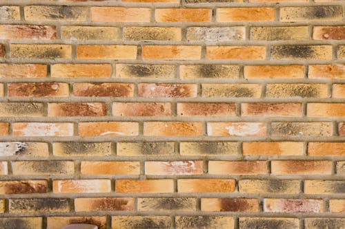 
A Close-Up Shot of a Brick Wall
