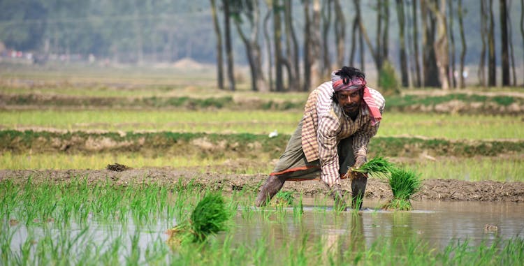 Photograph Of A Farmer Working