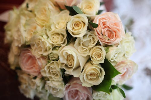 Free Bouquet of Pink and White Roses Stock Photo