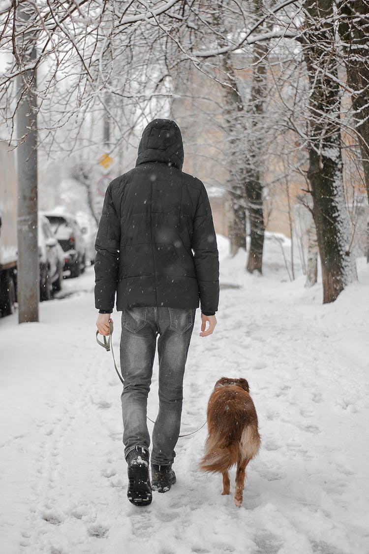 A Back View Of A Person Walking On The Street With It's Dog While Snowing