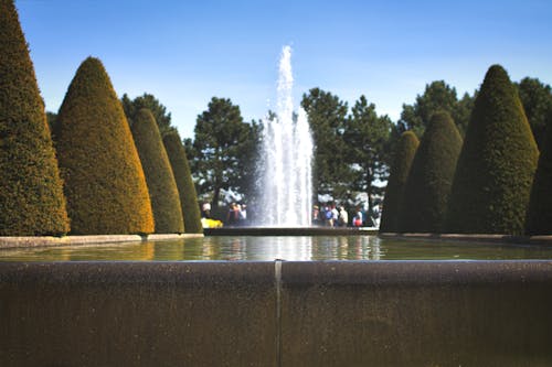 Free stock photo of trees, water fountain